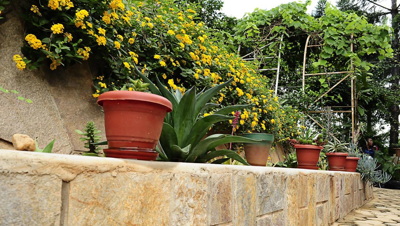 The Shoebill Nest Bed & Breakfast Kampala Eksteriør bilde